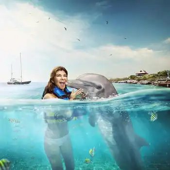 Nado con Delfines 🔥 ISLA MUJERES Infantes Gratis - Image 7