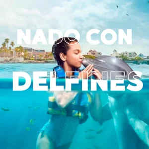 Nado con Delfines 🔥 ISLA MUJERES Infantes Gratis