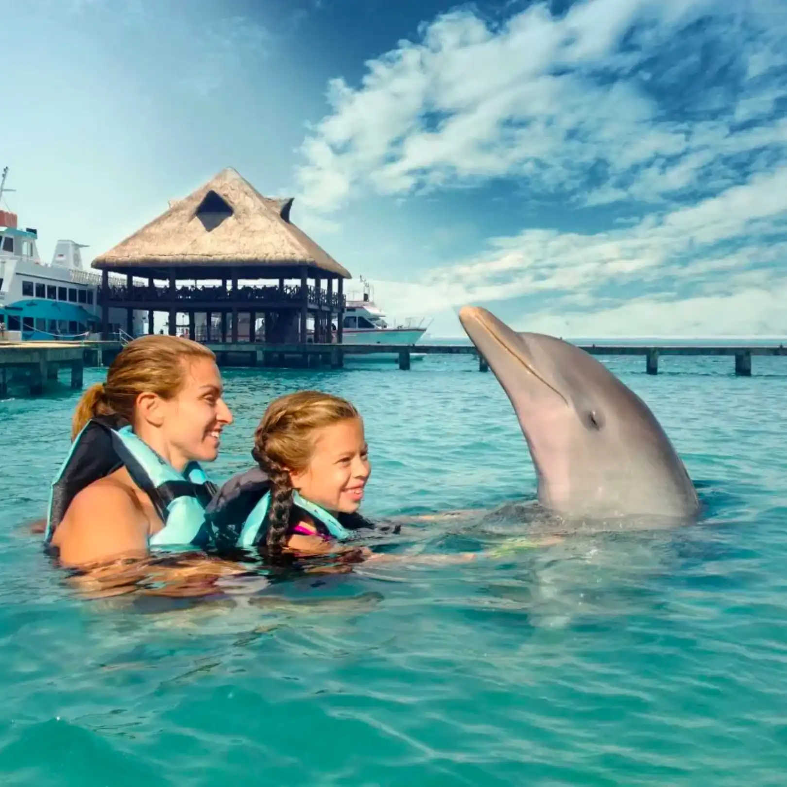 Nado con Delfines 🔥 ISLA MUJERES Infantes Gratis - Image 9