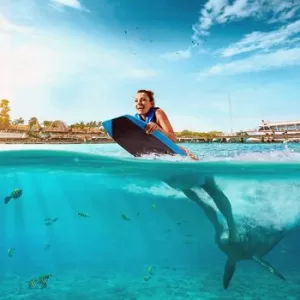 Swim Adventure Nado con Delfines ISLA MUJERES &ndash; Intermedio