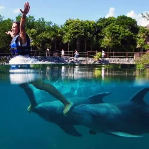 Dolphin Ride Nado con Delfines + Parque Xelha (INTERMEDIO)