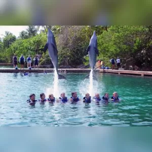 Dolphin Ride + Parque Xcaret PLUS - Nado con Delfin INTERMEDIO