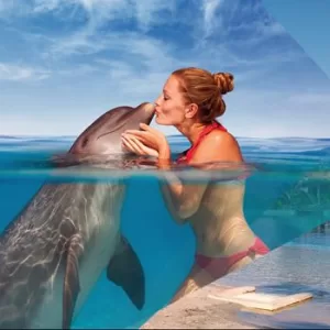 INTERAX Nado con Delfines + Parque Xelha (basico)