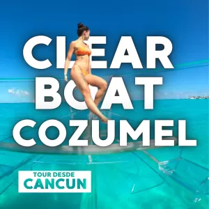 Cozumel ClearBoat Lancha de Cristal - Todo Incluido Mexicanos 🇲🇽