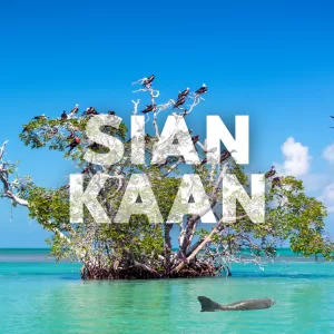 Sian Ka'an + Punta ALLEN - Tour de Dia desde Cancun, Playa Carmen y Riviera Maya