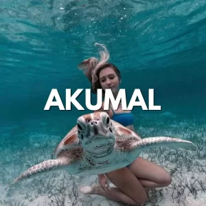 Tulum + AKUMAL Nado con TORTUGAS Tour de DIA