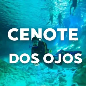 TULUM + Cenote DOS OJOS + Gran Cenote y Madre Naturaleza un DIA